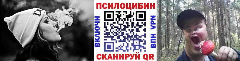 Галлюциногенные грибы Cubensis  купить  цена  Лесосибирск 